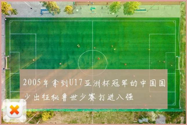 2005年拿到U17亚洲杯冠军的中国国少出征秘鲁世少赛打进八强